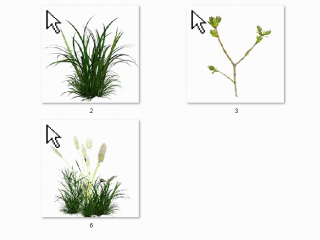 小清新绿色植物wi