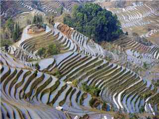 梯田清新风景图片高清壁纸 云南梯田美景