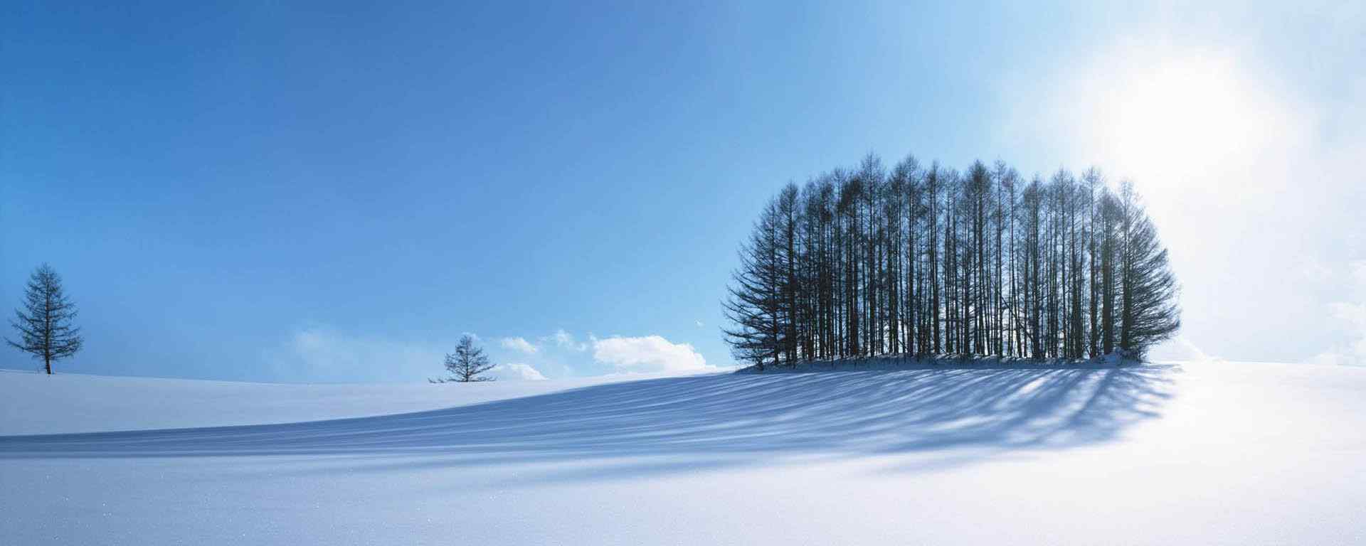 北海道_北海道雪景_北海道花田_函馆_百万夜景_小樽图片壁纸