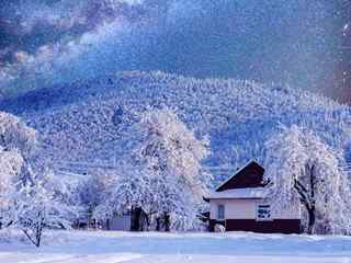 冬天的景色_雪景、梅花、冰雕、美女_冬天风景桌面壁纸_冬天风景手机壁纸_风景壁纸