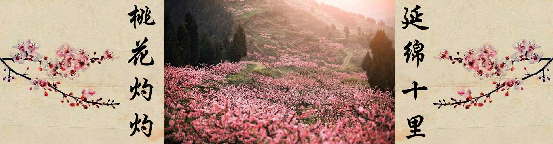 桃花林风景_桃花图片_桃花林风景图片_三生三世十里桃花_春日桃花林图片_风景壁纸