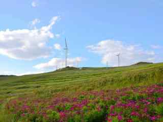 山坡风景_山坡风景图片_小清新风景图片_风景壁纸