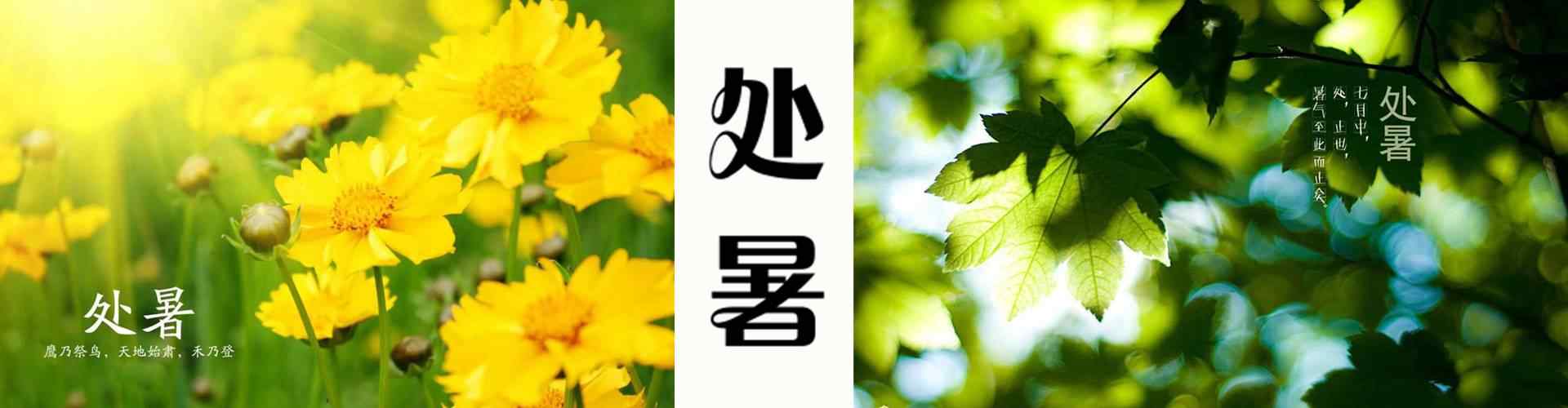 2017年处暑节气_处暑节气壁纸_二十四节气图片_处暑图片大全