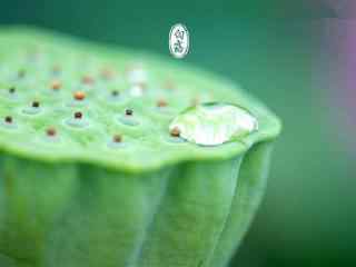 2017年白露节气_白露节气壁纸_二十四节气图片_白露图片大全