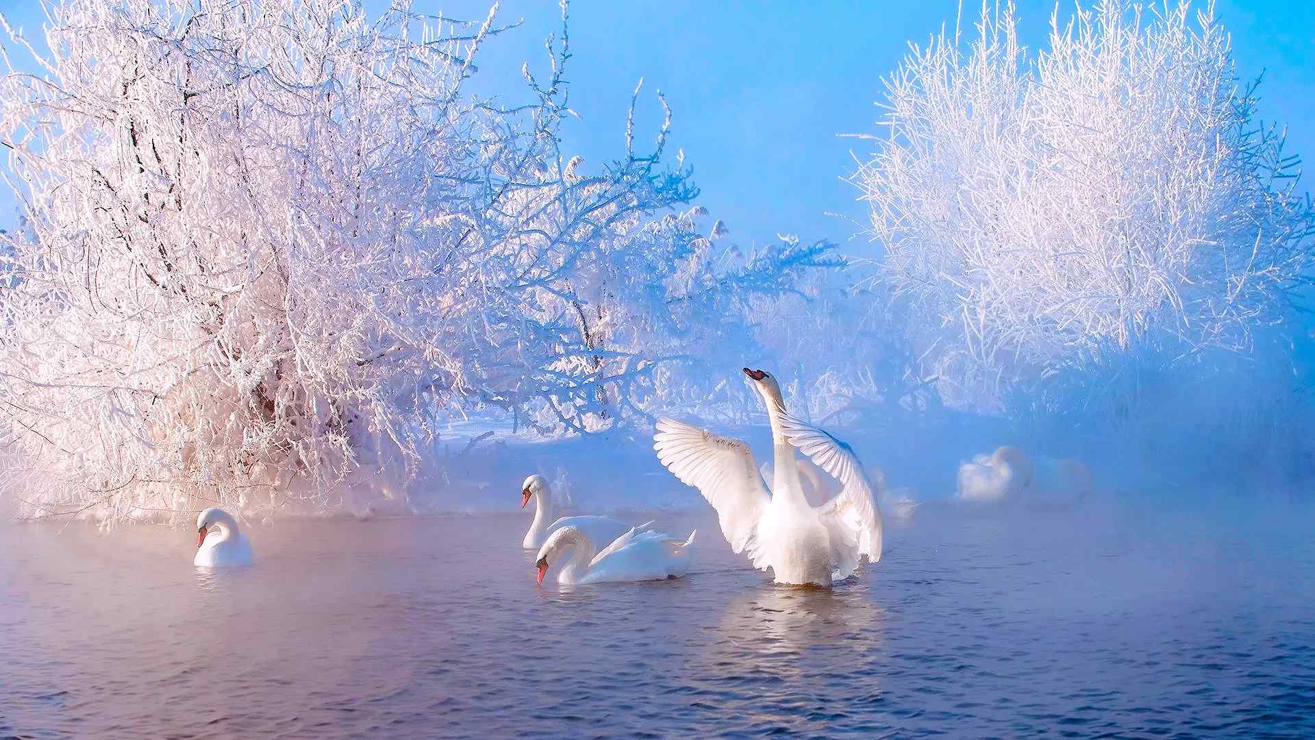 风景图片大全_海边风景图片_自然风景图片_海南风景图片_优美风景图片