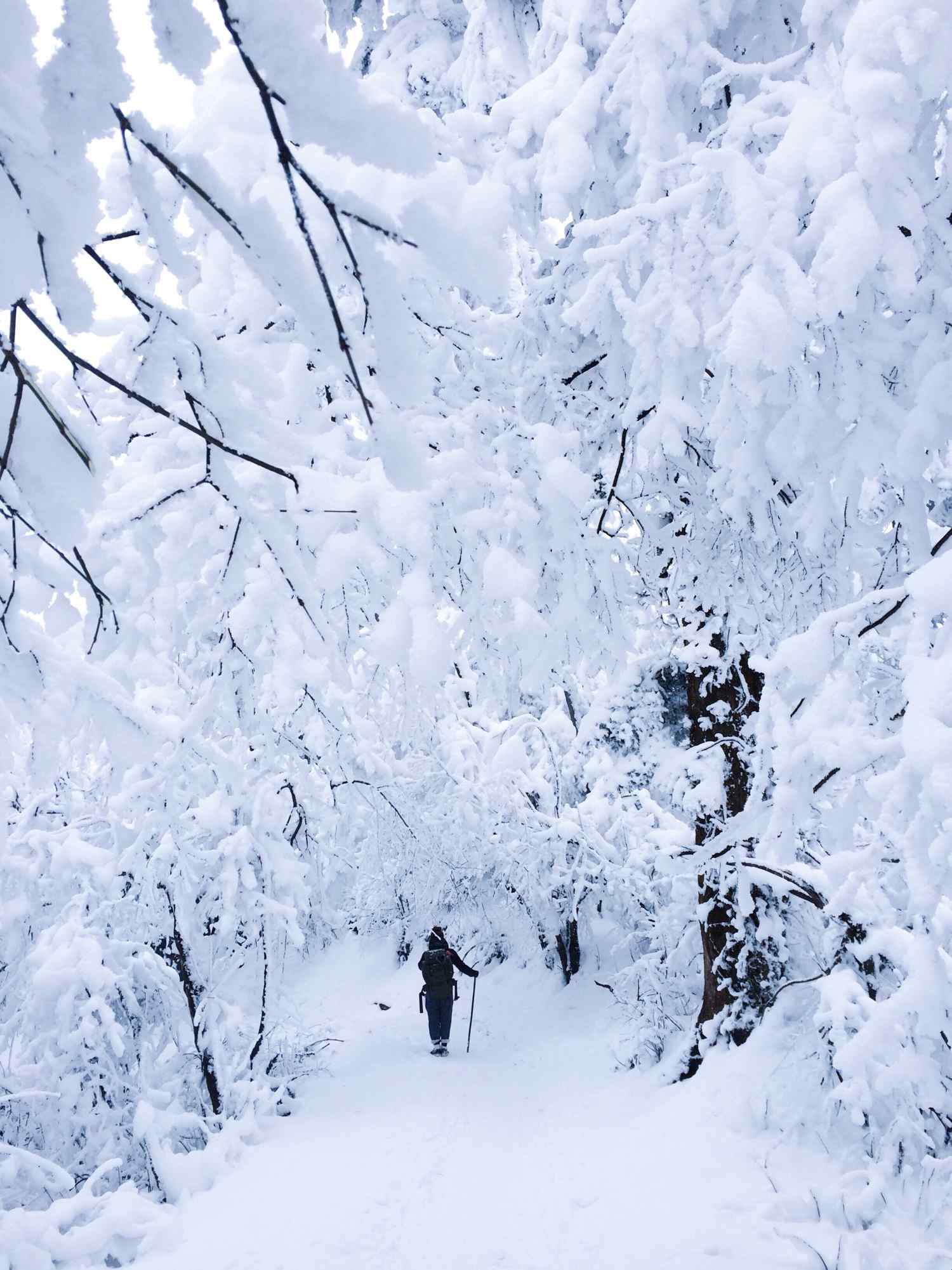 冬日峨眉山雪景手机壁纸