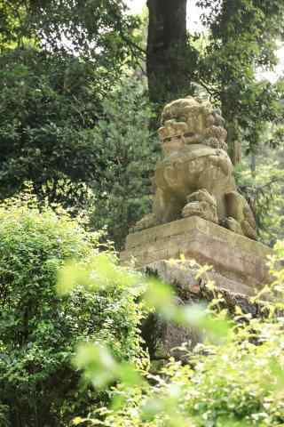 峨眉山山间风景手机壁纸