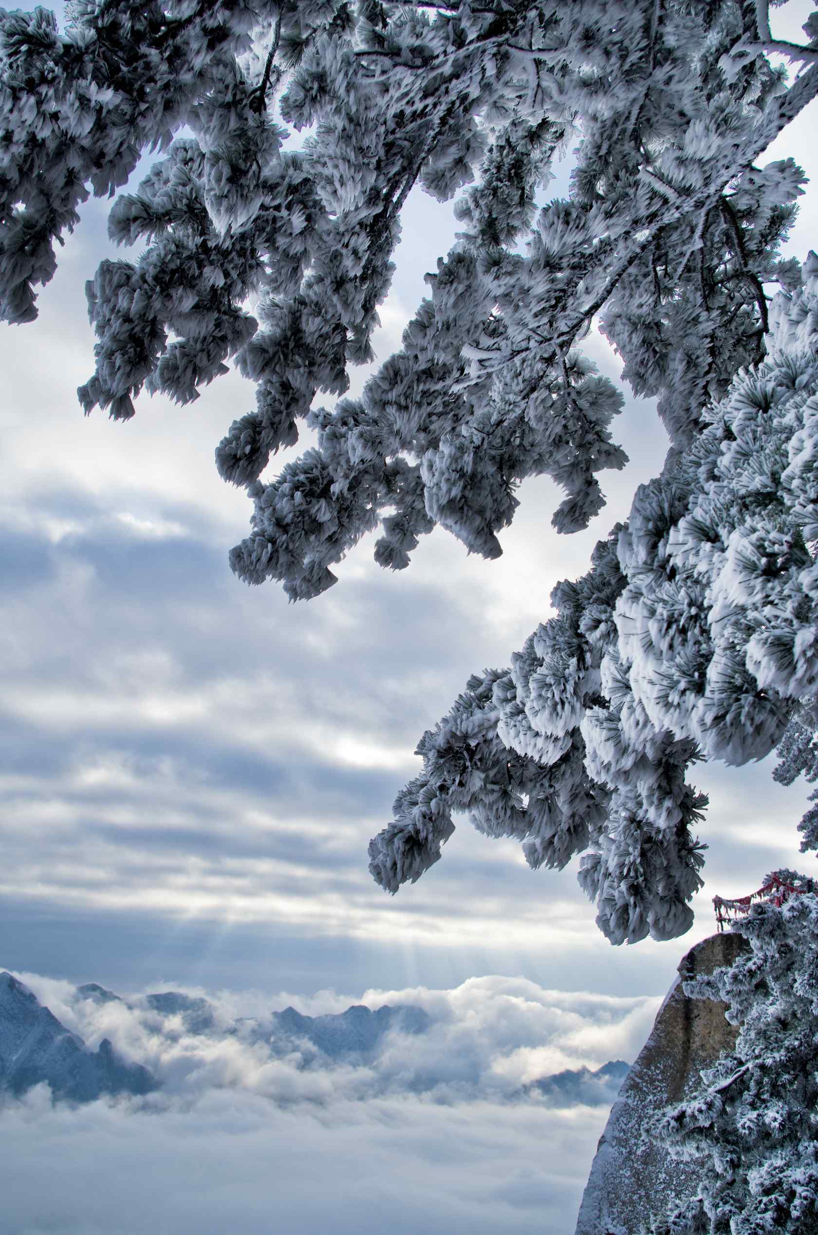 华山美丽雪景手机壁纸