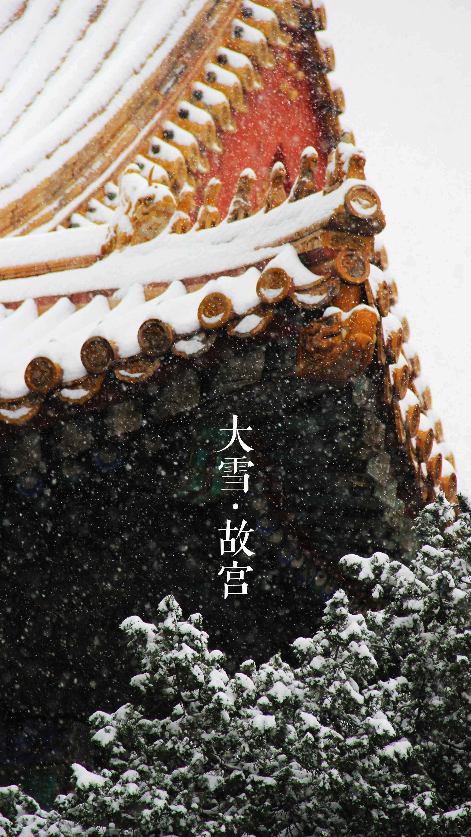 冬天风景之美丽的故宫雪景