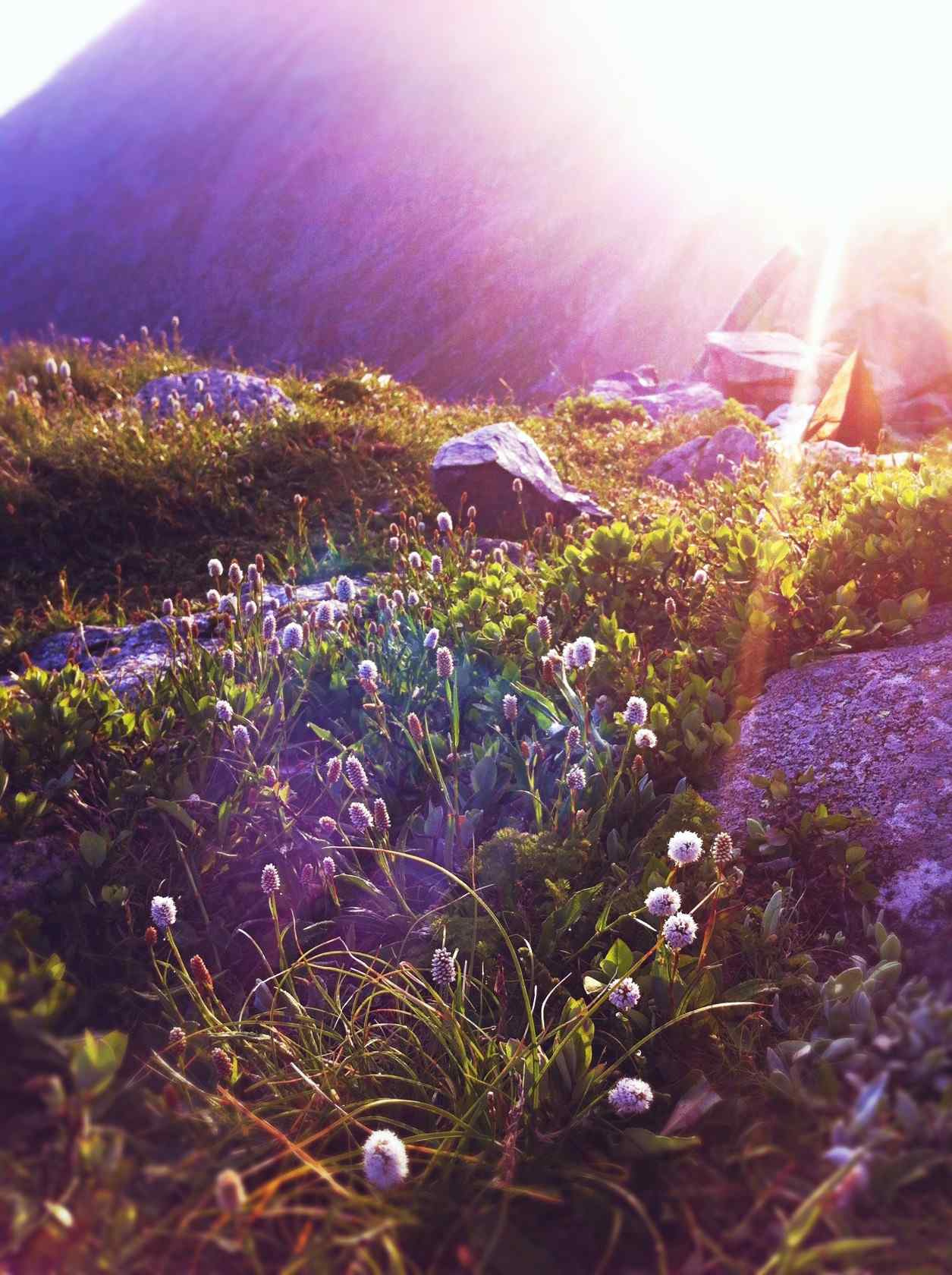 太白山迷人自然风景手机壁纸