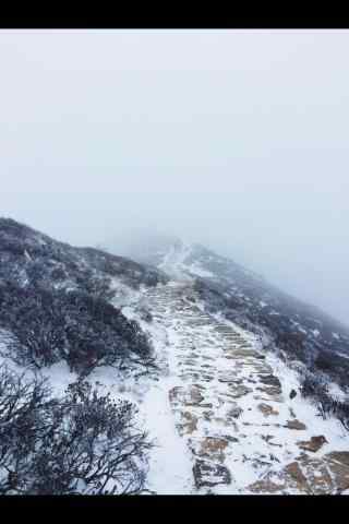 太白山雪中山道手机壁纸