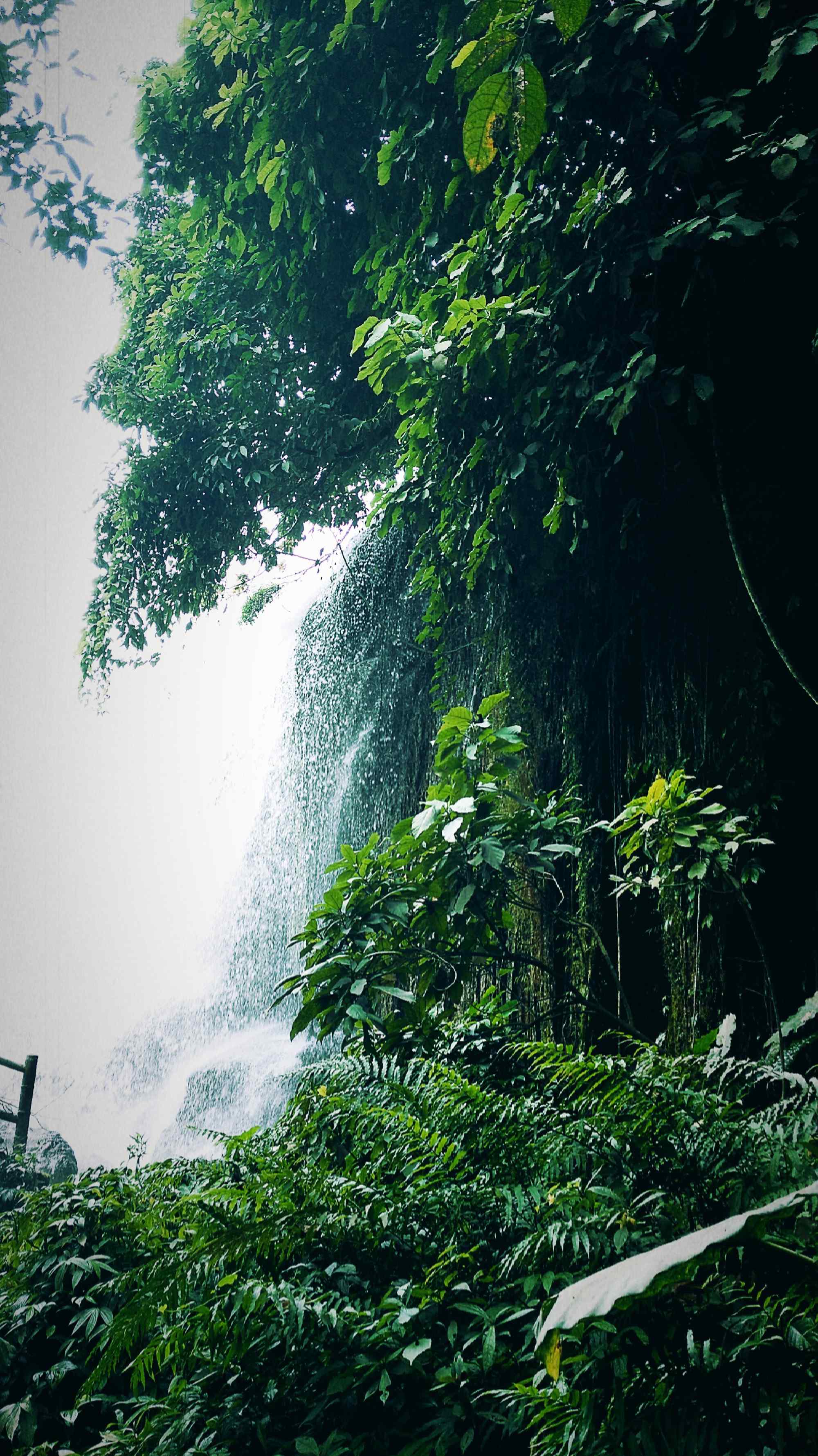 山清水秀的德天瀑布风景手机壁纸