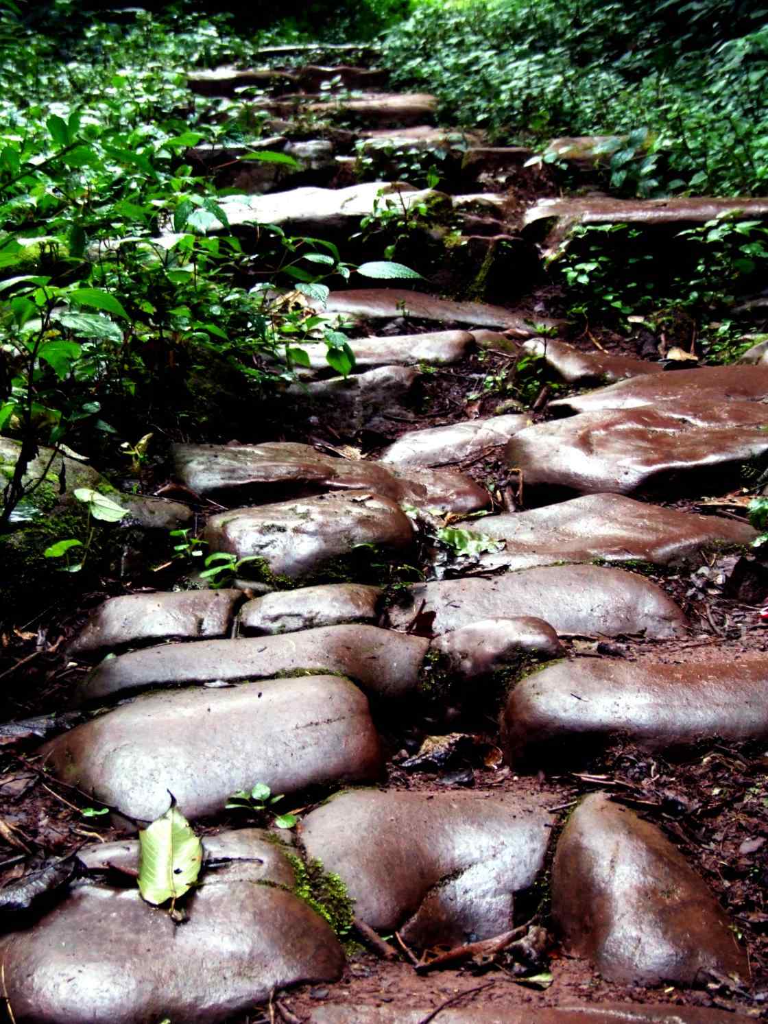 茶马古道石板道路风景手机壁纸