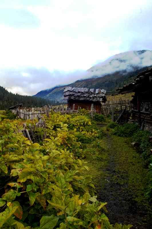 茶马古道周边美景手机壁纸