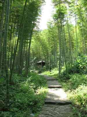 竹林小亭子风景壁纸