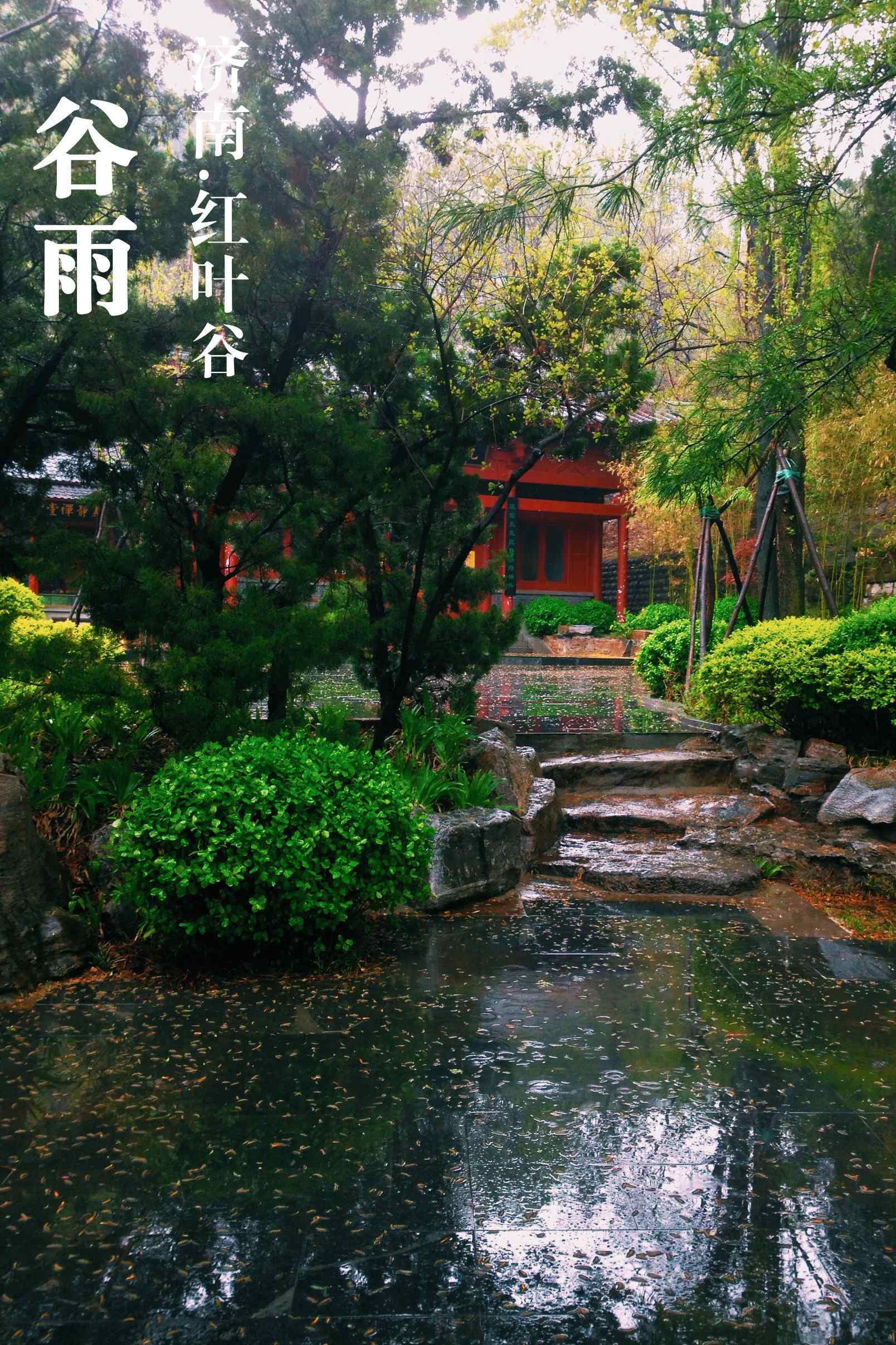 谷雨习俗-走谷雨风景手机壁纸