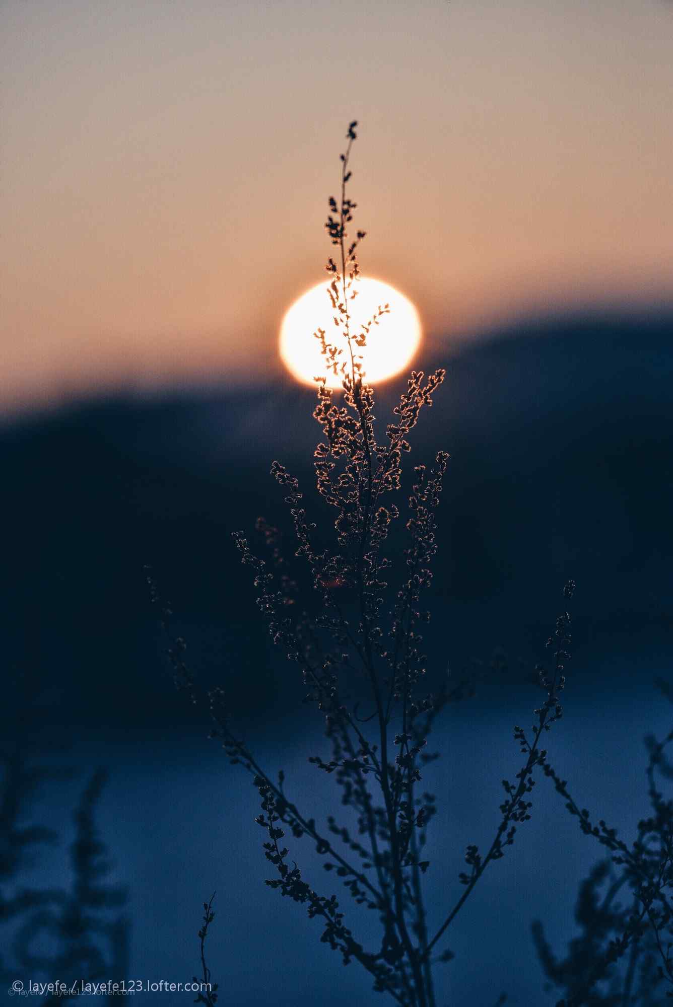 夕阳下的黑龙江美景手机壁纸