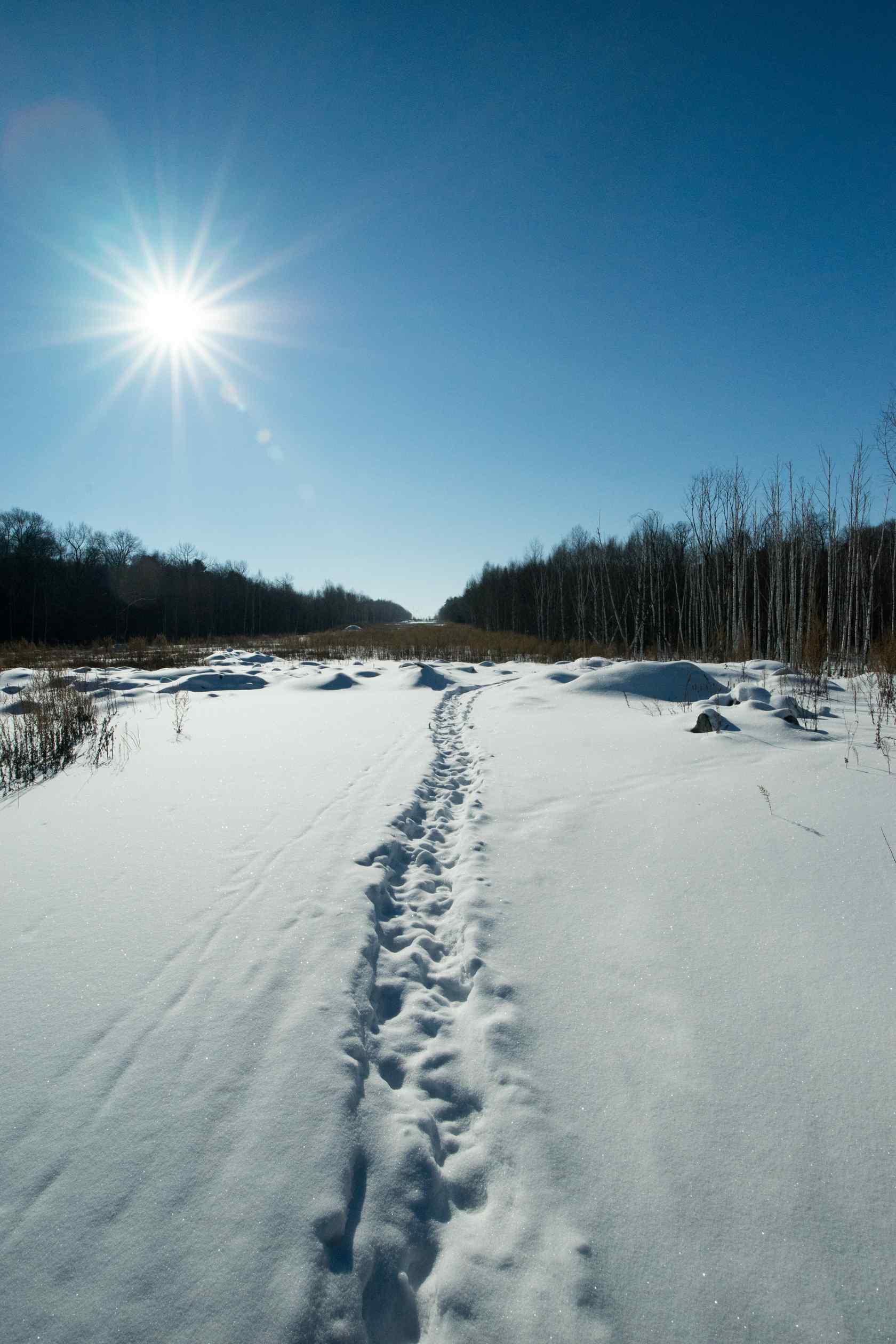 阳光下的长白山雪景手机壁纸