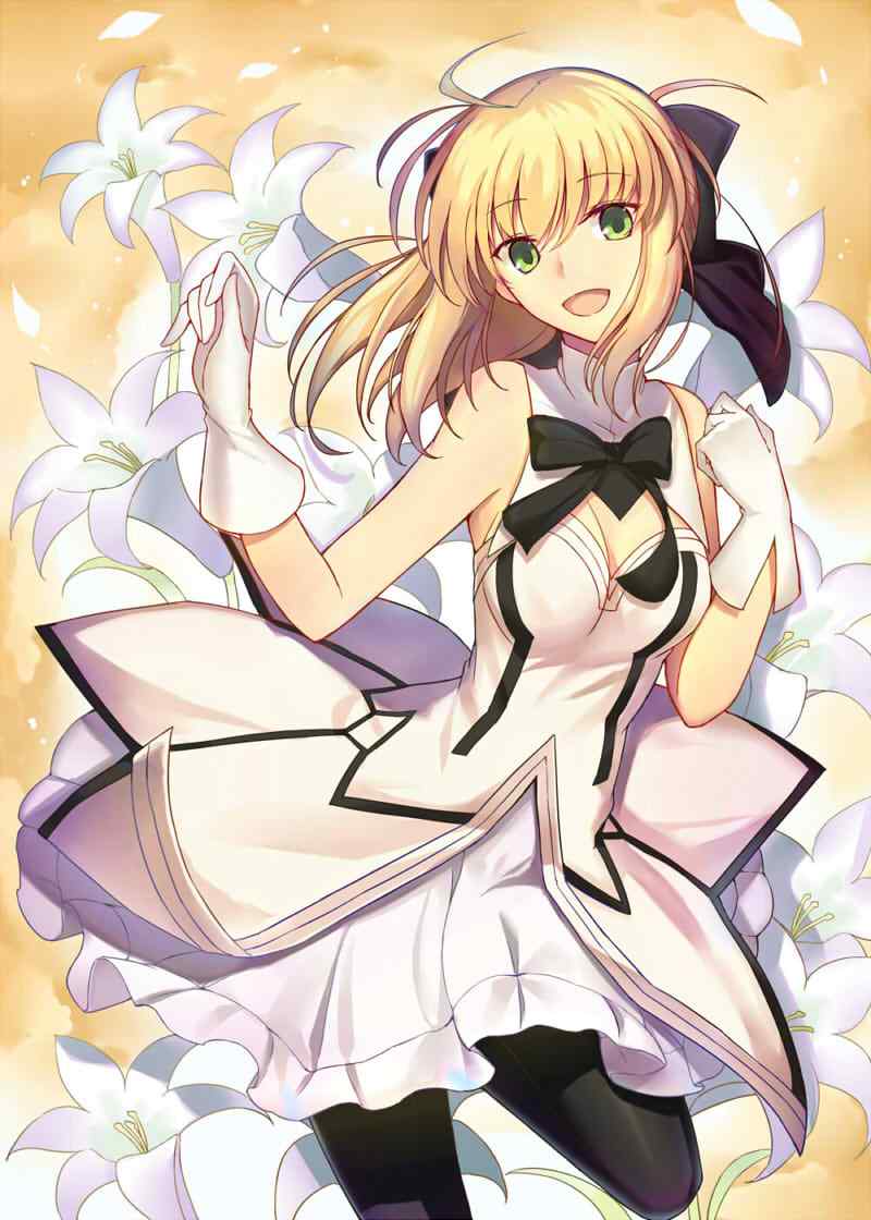 Fate/GrandOrder saber lily壁纸包