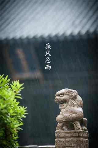 处暑节气之疾风急雨手机壁纸