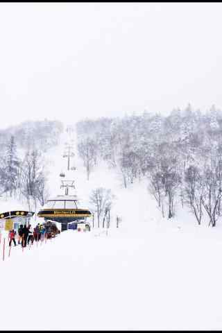 白雪皑皑文艺滑雪场手机壁纸