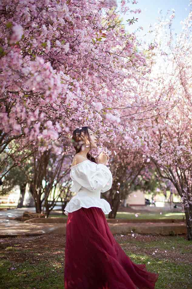 美丽海棠花下的女子手机壁纸（6张）