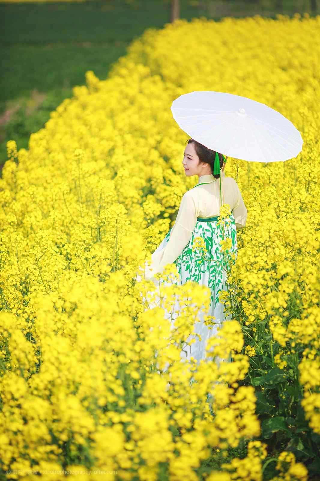 唯美的古装美女油菜花田写真图片