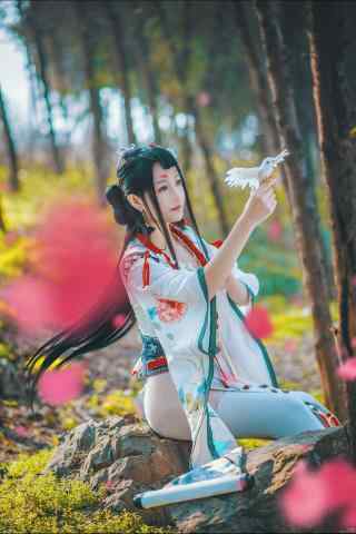 阴阳师花鸟卷cosplay手机壁纸