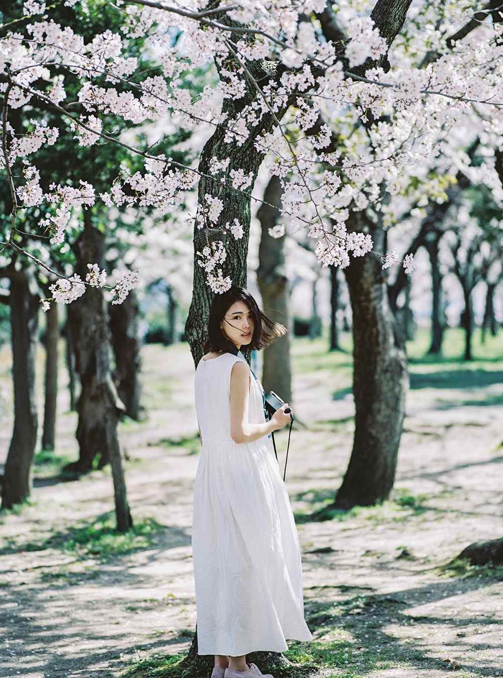 夏日樱花树下的清纯美女手机壁纸