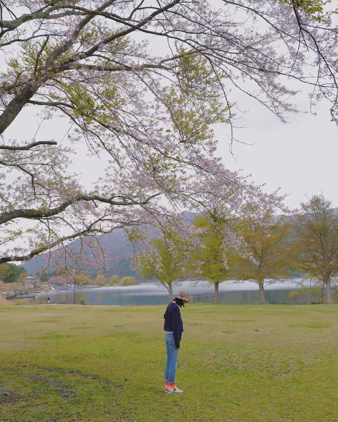 刘雯日本赏樱休闲图片