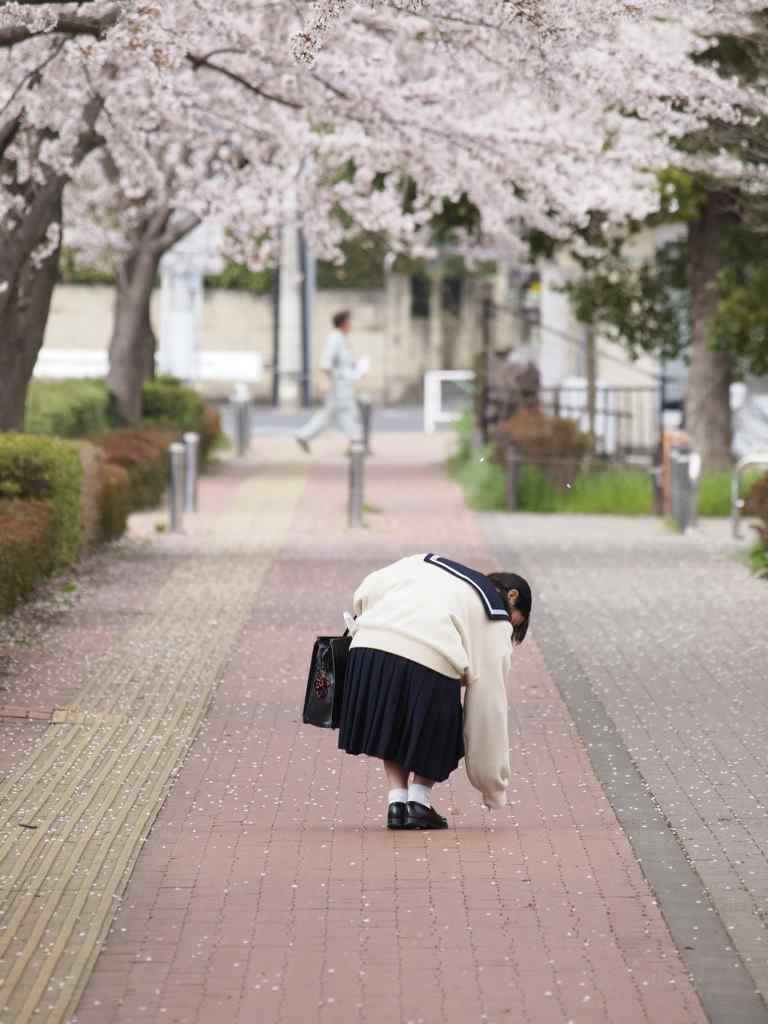 少女在街道捡樱花瓣手机壁纸