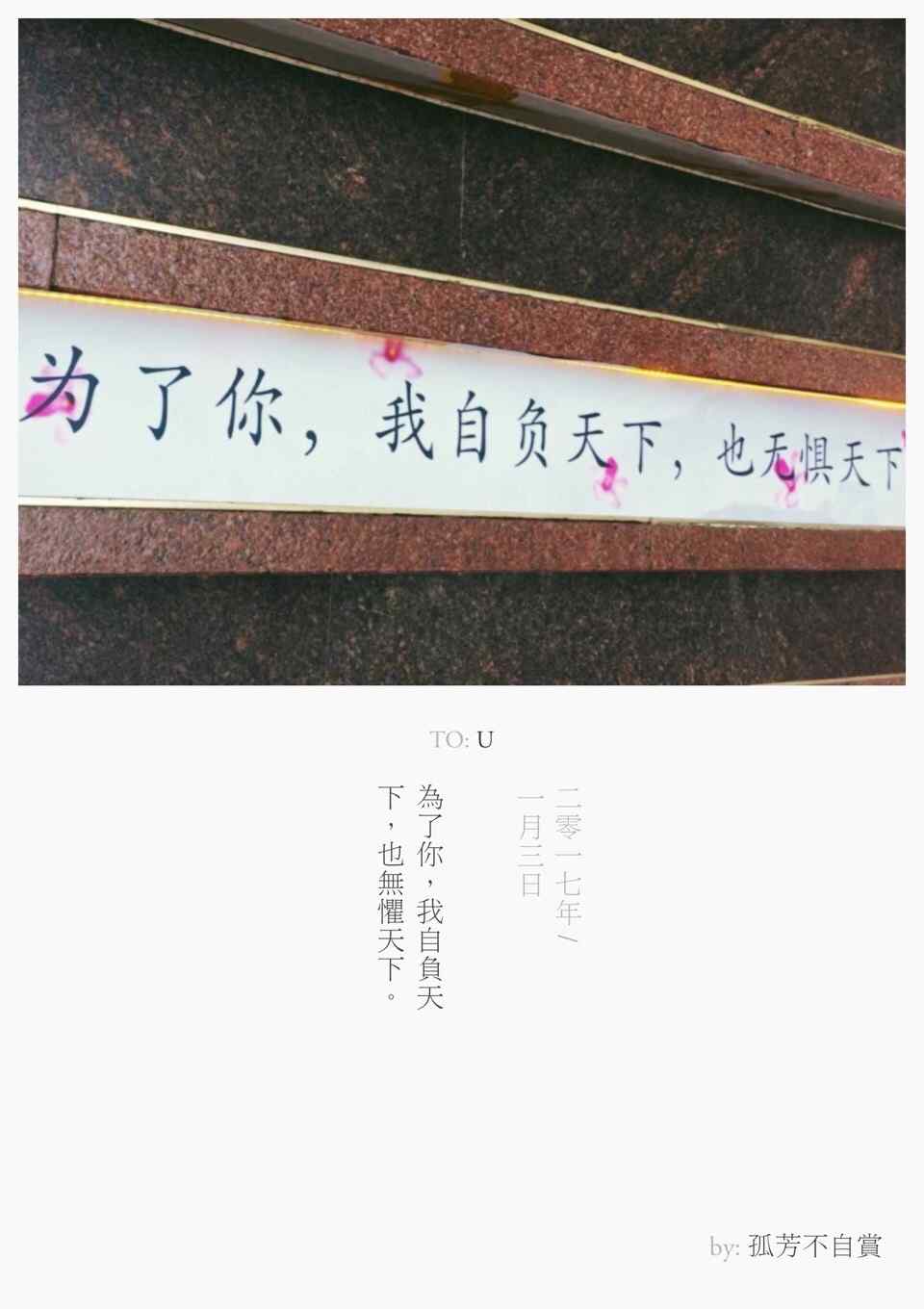 《孤芳不自赏》唯美文字海报