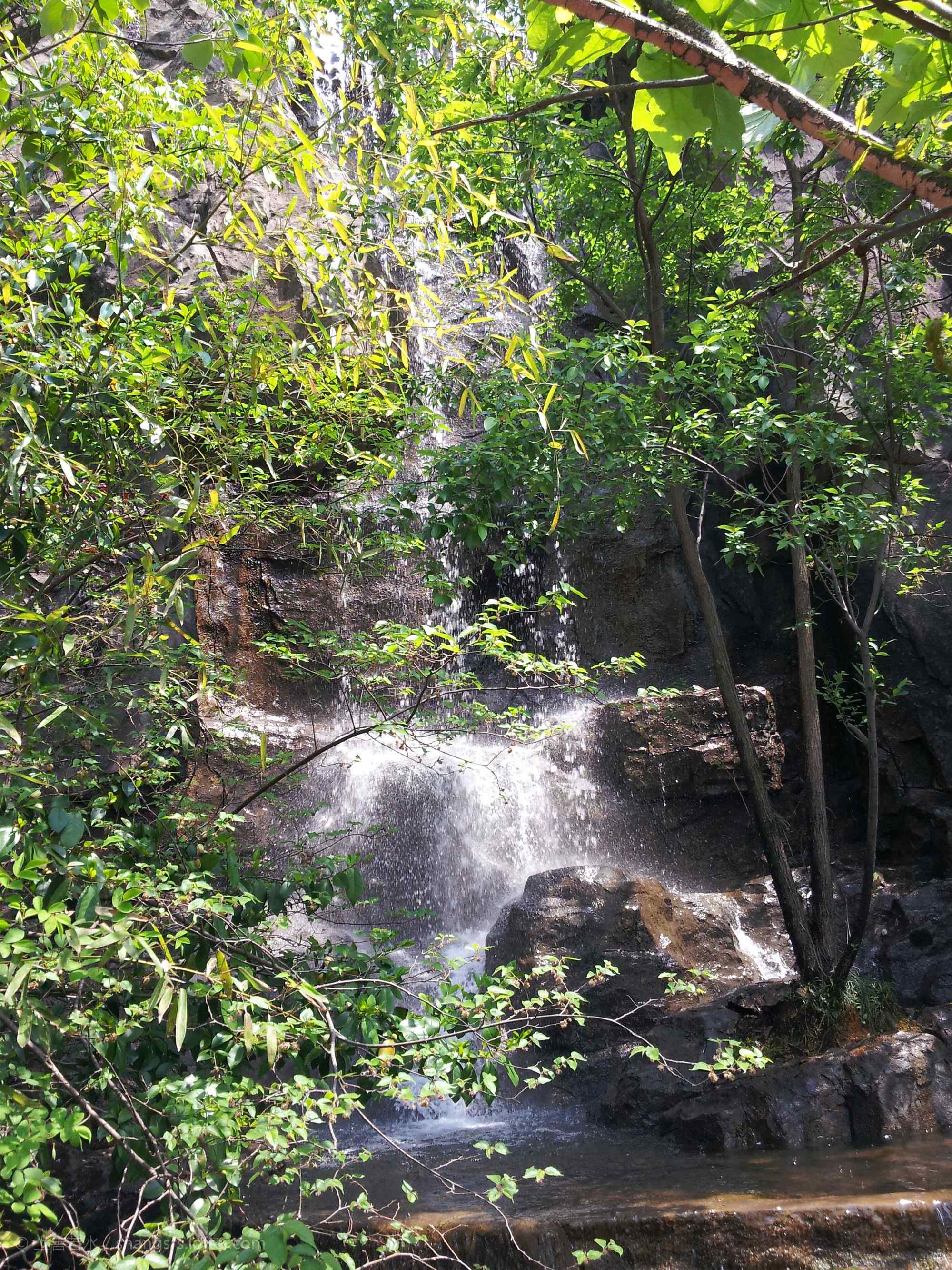 南山竹海的山涧溪水手机壁纸