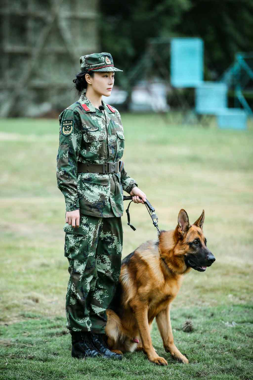 《奇兵神犬》张馨予手机壁纸