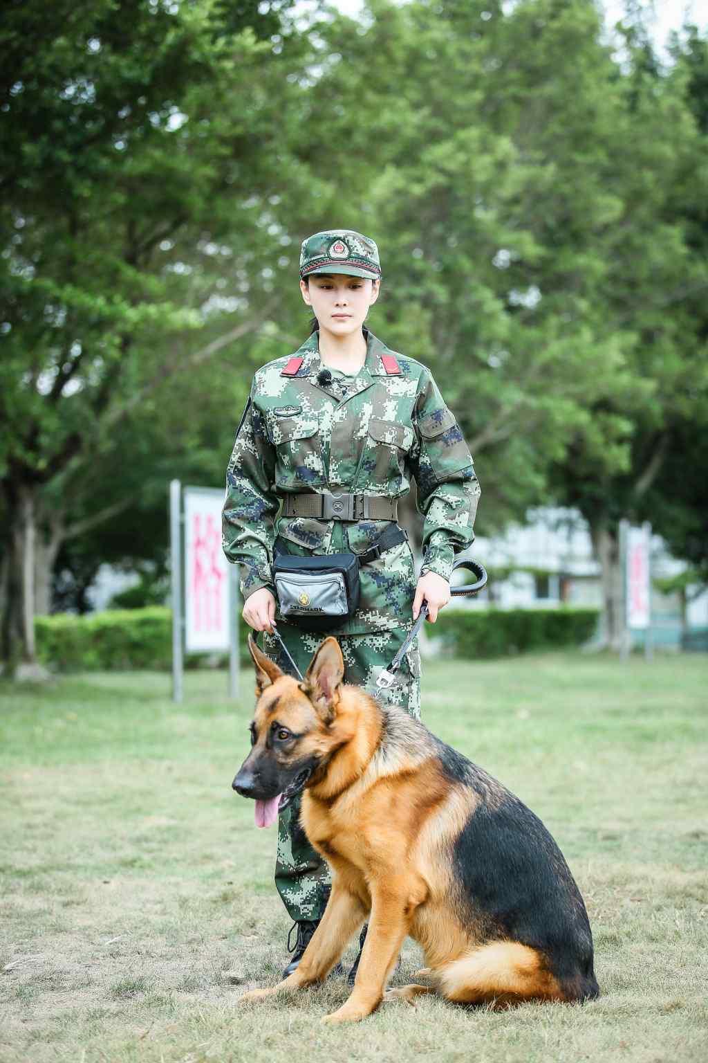 《奇兵神犬》张馨予手机壁纸