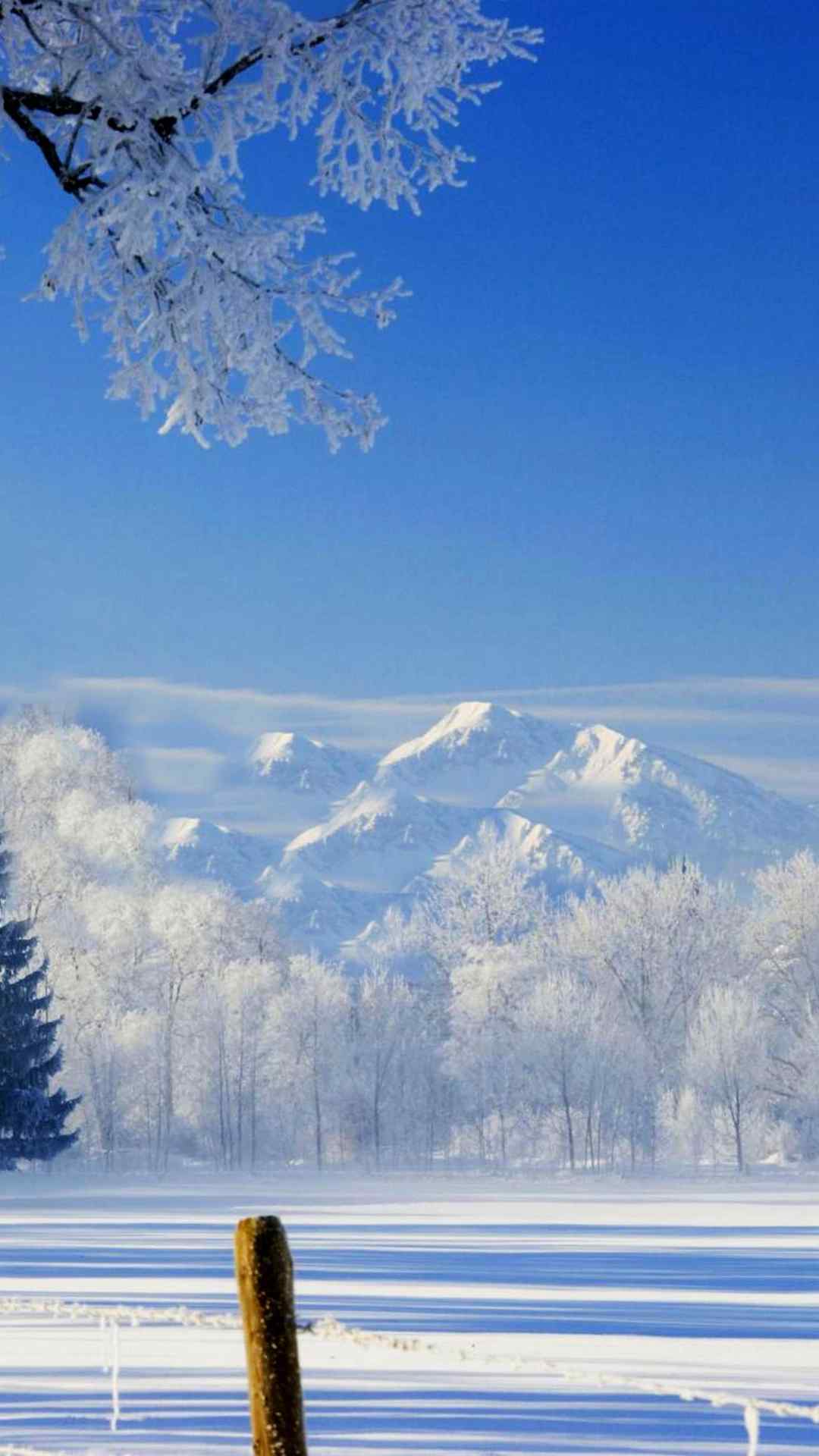 超唯美冬季雪景高清手机壁纸