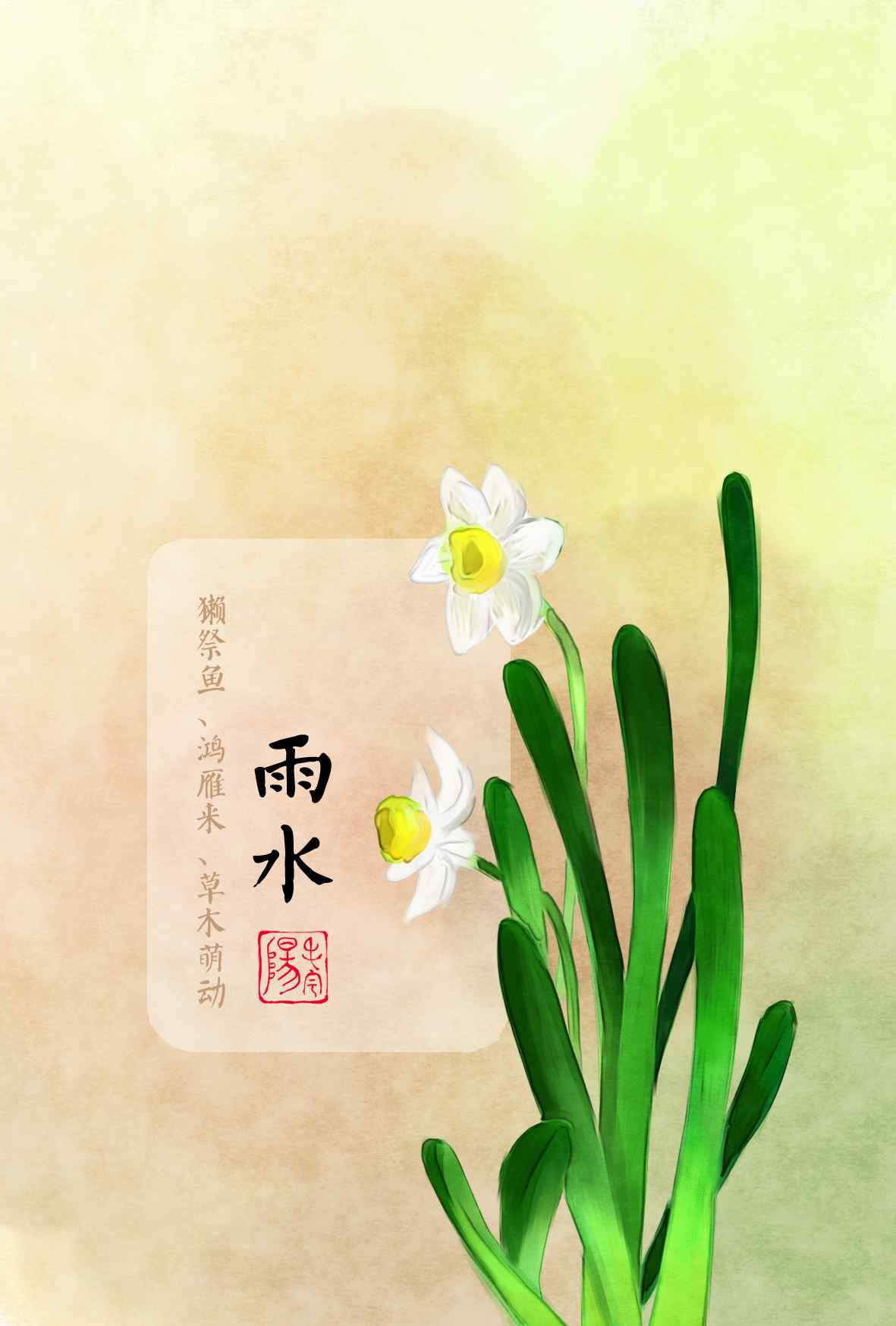 雨水节气-唯美水仙花图片手机壁纸