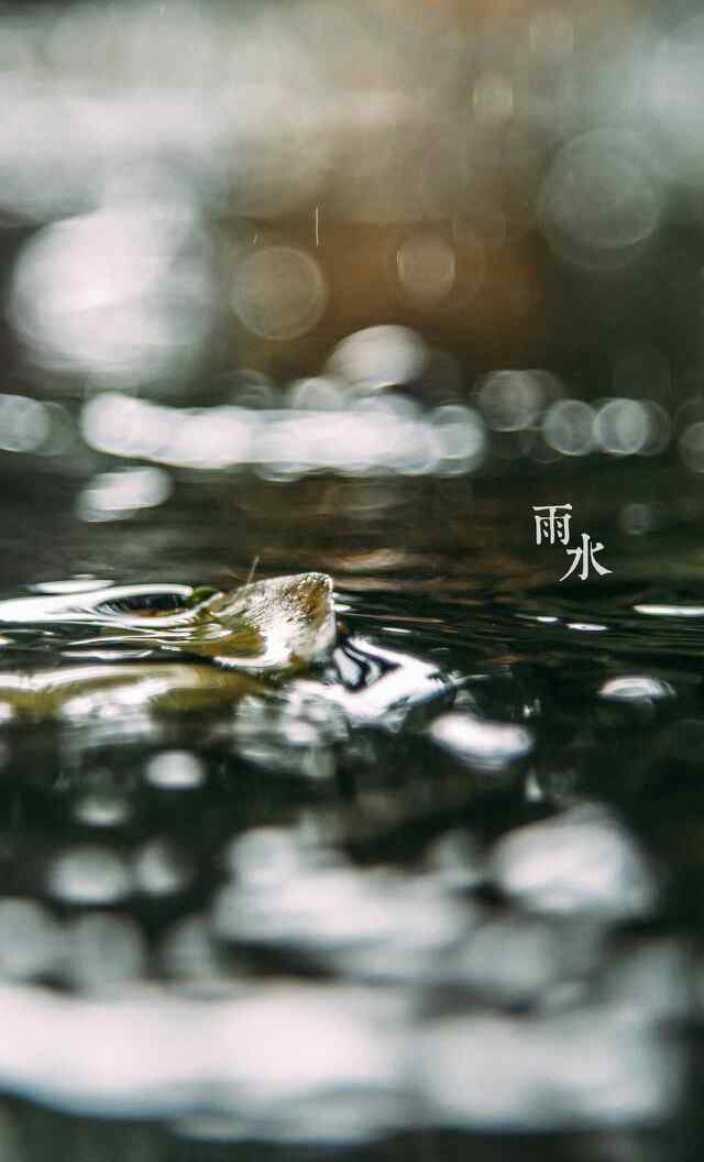 雨水节气-清澈的水滩图片手机壁纸