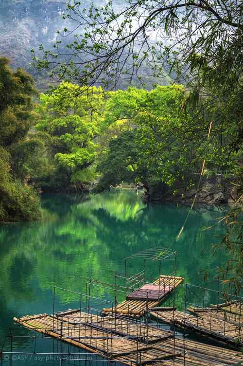 小清新风光山水植物壁纸