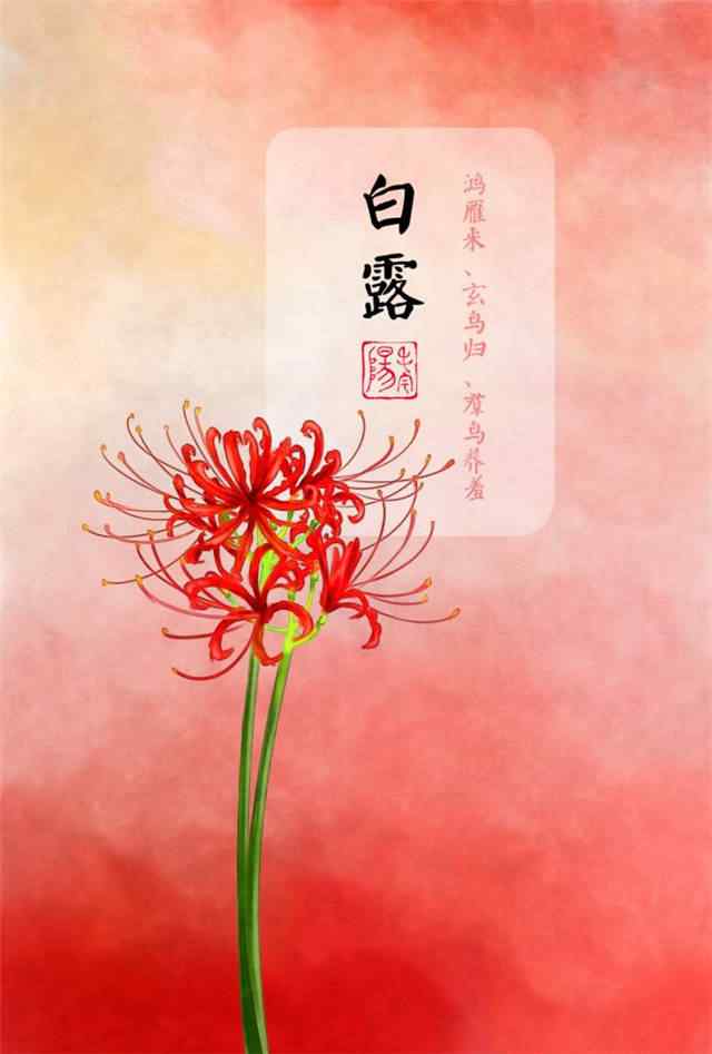 2017白露节气彼岸花手机壁纸