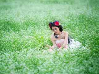 荞麦花海中的美女写真图片