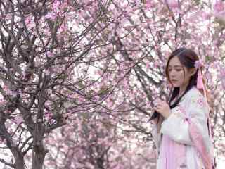 古装美女壁纸清纯古装美女唯美花间写真高清壁纸性感美腿美女制服艺术摄影极品诱惑