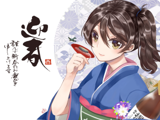 2017年新年-动漫美女恭贺新年壁纸