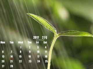 2017年2月日历好看的植物图片壁纸