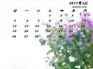 2017年3月日历淡