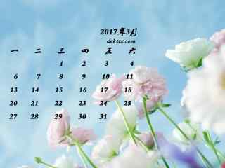 2017年3月日历好看的植物壁纸