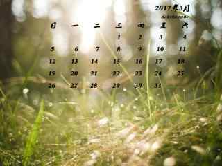 2017年3月日历唯美草地风景桌面壁纸