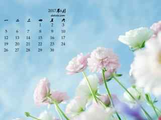 2017年6月日历美丽的鲜花壁纸