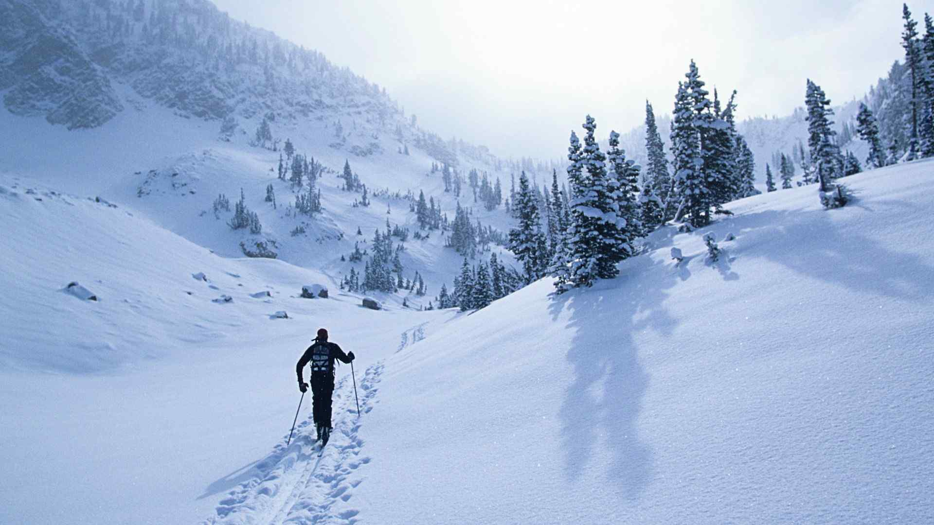 滑雪运动高清壁纸