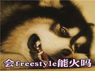 马达freestyle表情